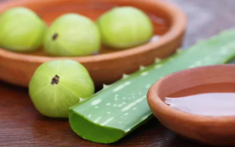 Elevate your well-being with Amla-Aloe Vera Juice. Learn its uses, benefits for overall health, and potential side effects in this comprehensive guide.